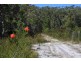 Lot 1259,  Walter Pierce, Denmark WA 6333