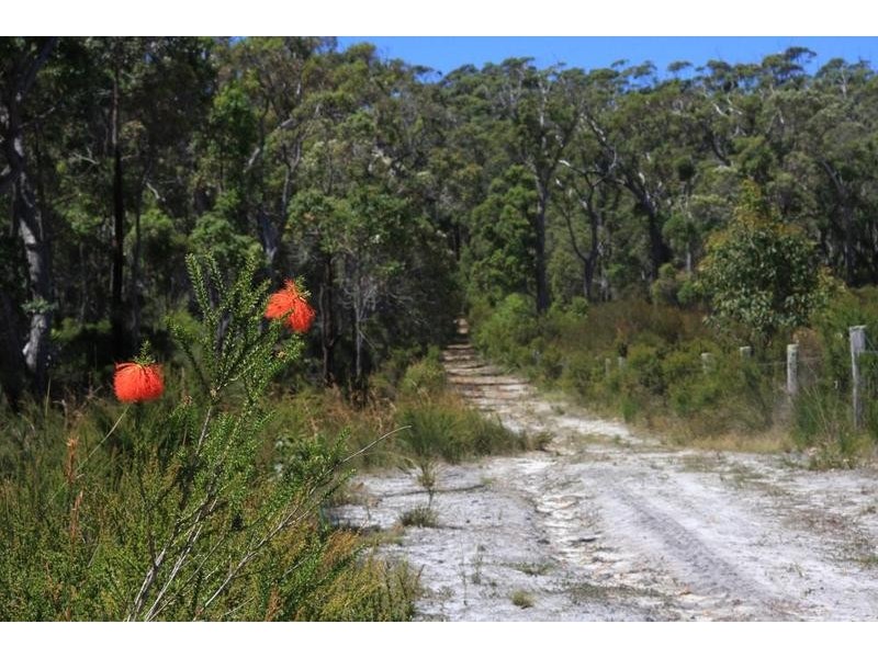 Lot 1259,  Walter Pierce, Denmark WA 6333