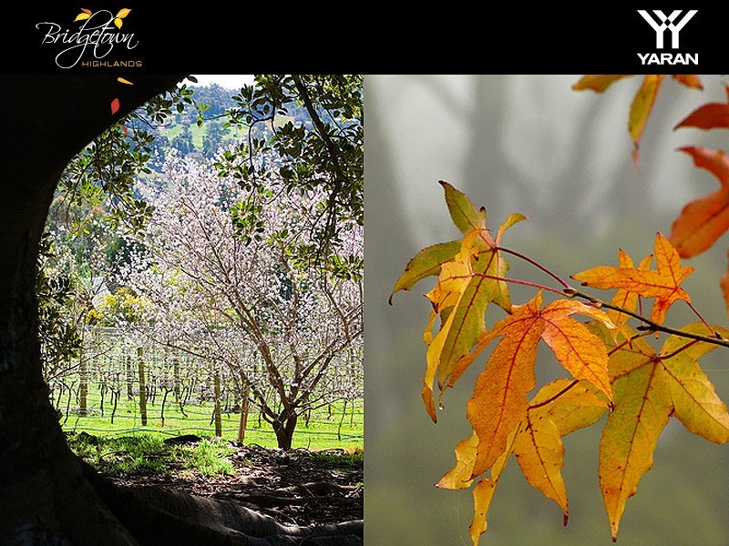 Aberdeen Avenue & Galloway Drive, Bridgetown WA 6255