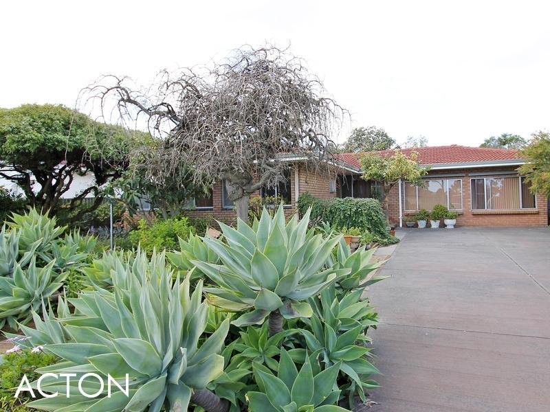 190 Riseley Street, Booragoon WA 6154