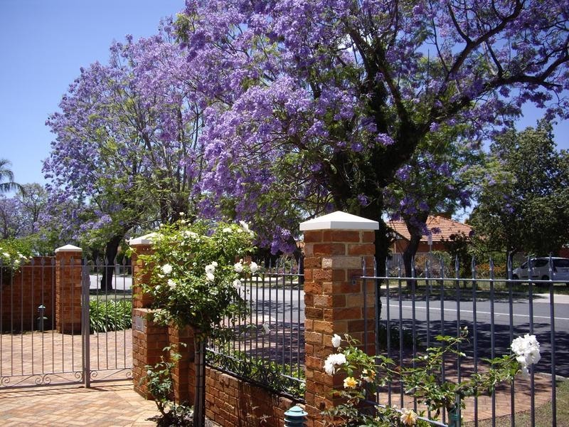 9 Forbes Road, Applecross WA 6153