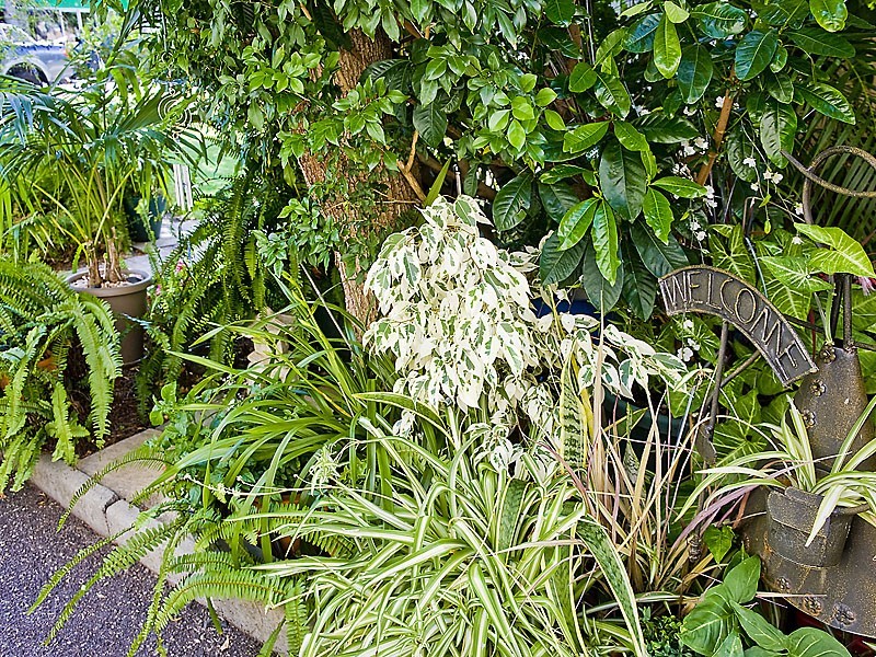 4/14 Ogilvie Road, Mount Pleasant WA 6153