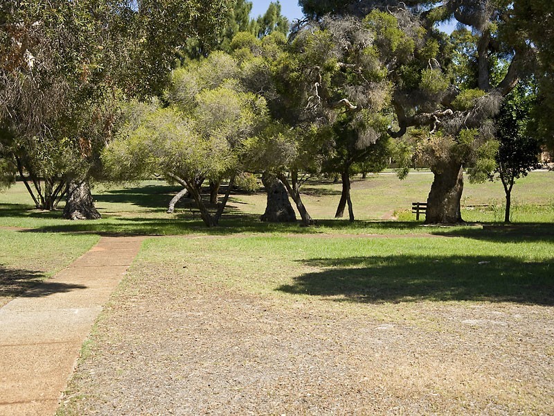 11 Lysons Way, Bateman WA 6150