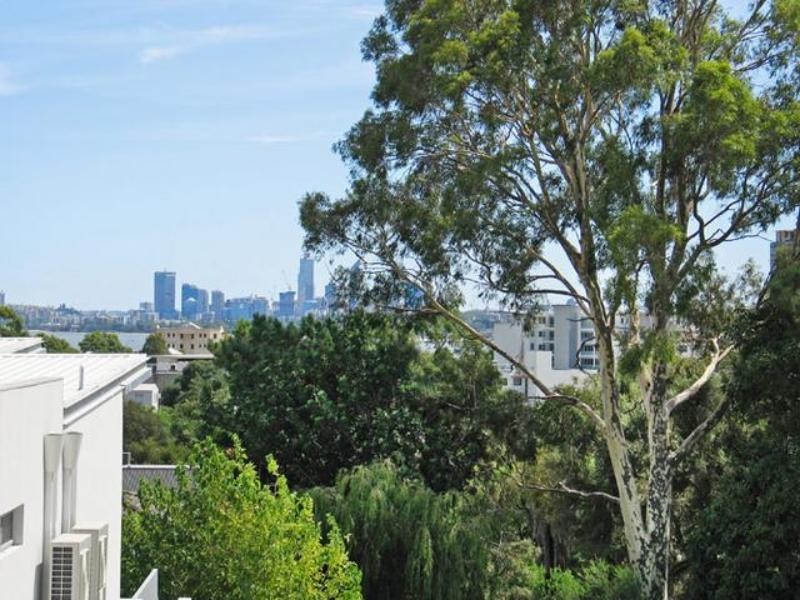 17 Rookwood St, Mount Pleasant WA 6153