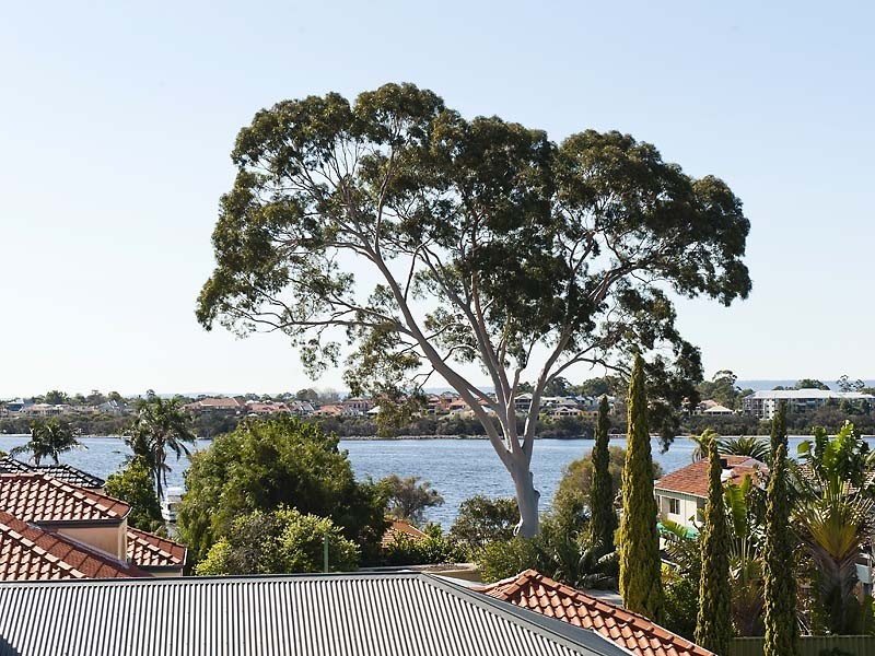 12A Hawkins St, Mount Pleasant WA 6153