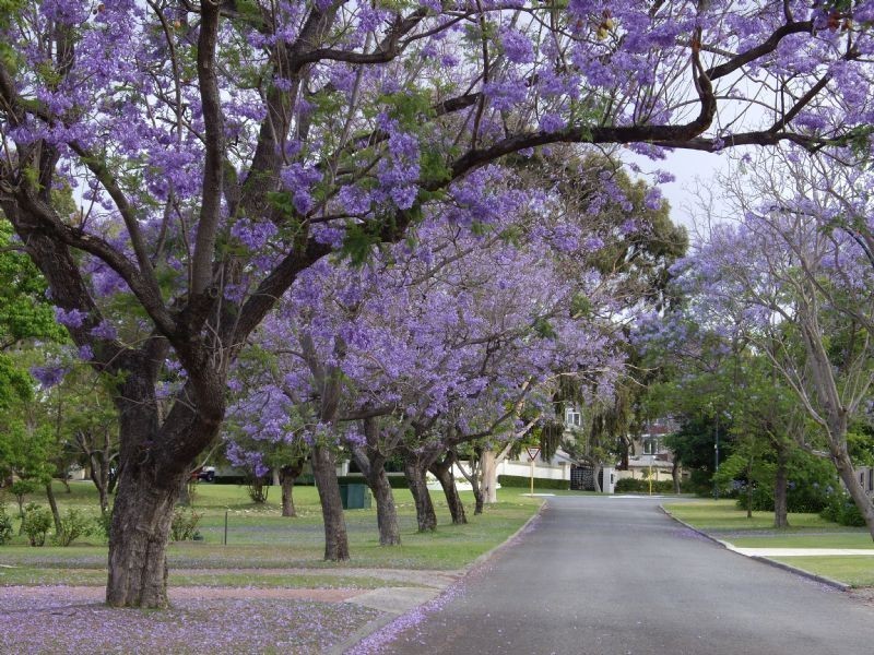 24 Nisbet Rd, Applecross WA 6153