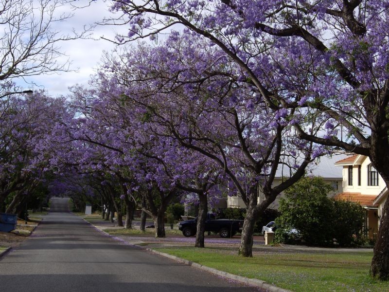 24 Nisbet Rd, Applecross WA 6153