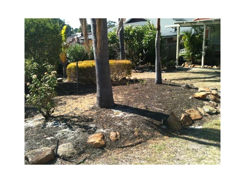 16 Canna Way, Ardross WA 6153