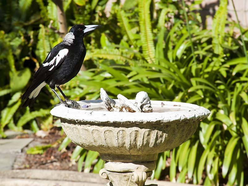 108B Kintail Road, Applecross WA 6153