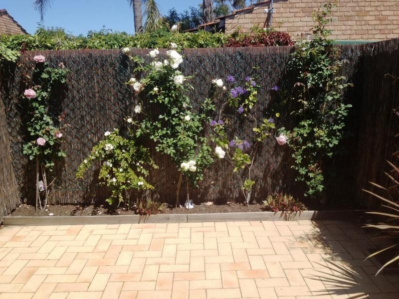 3/33 Park St, Como WA 6152