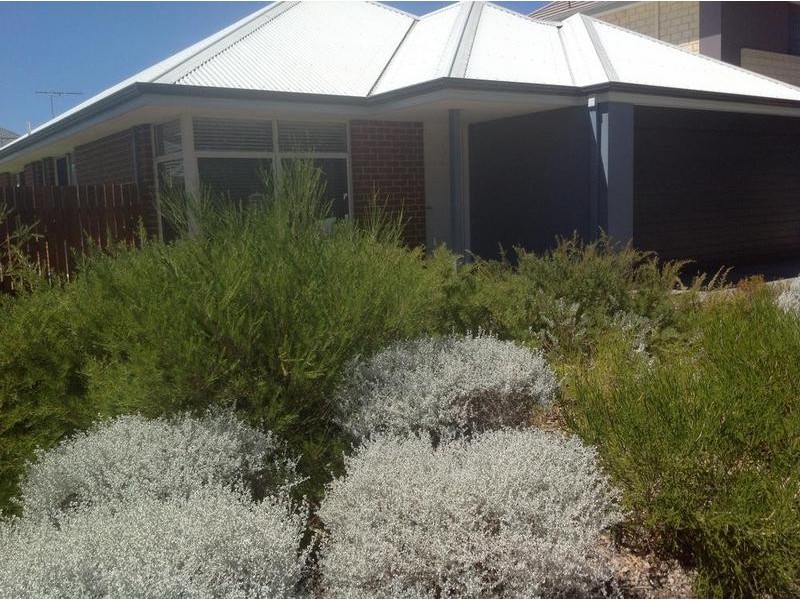 8 Lautour Street, South Guildford WA 6055