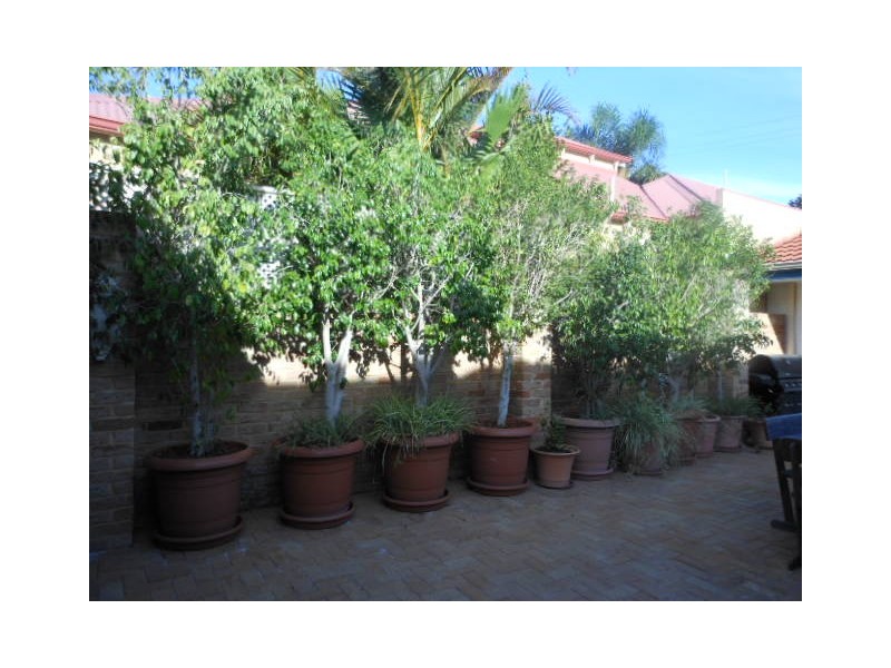 35 Bedford Road, Ardross WA 6153