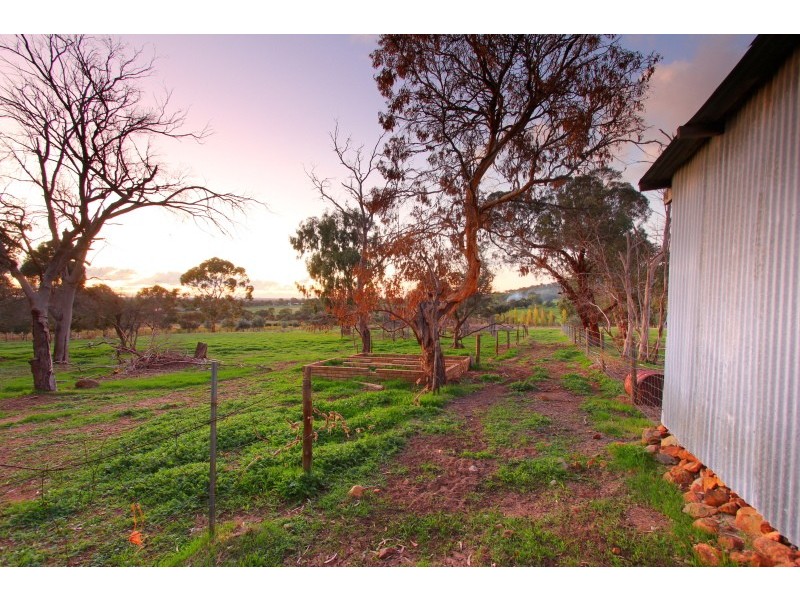 57 Neuman Road, Herne Hill WA 6056