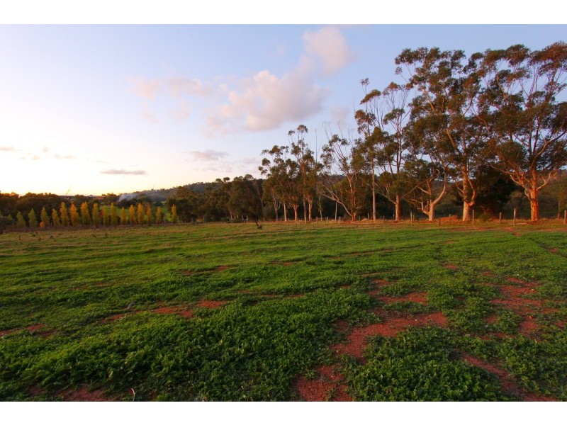 57 Neuman Road, Herne Hill WA 6056