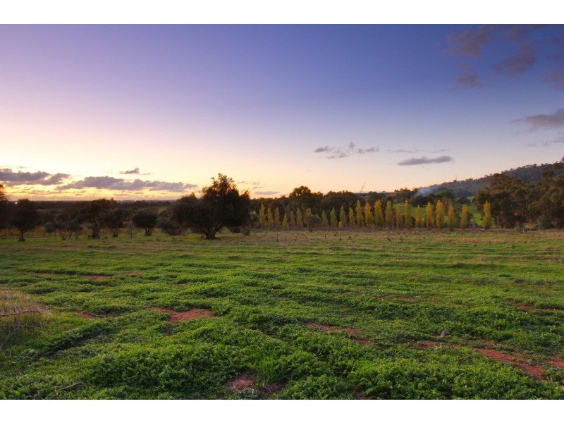 57 Neuman Road, Herne Hill WA 6056