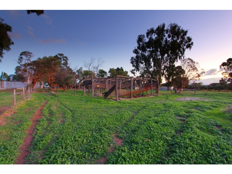 57 Neuman Road, Herne Hill WA 6056