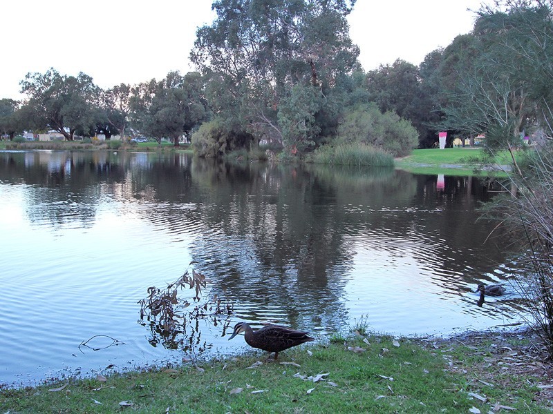 23B Clydesdale Street, Como WA 6152