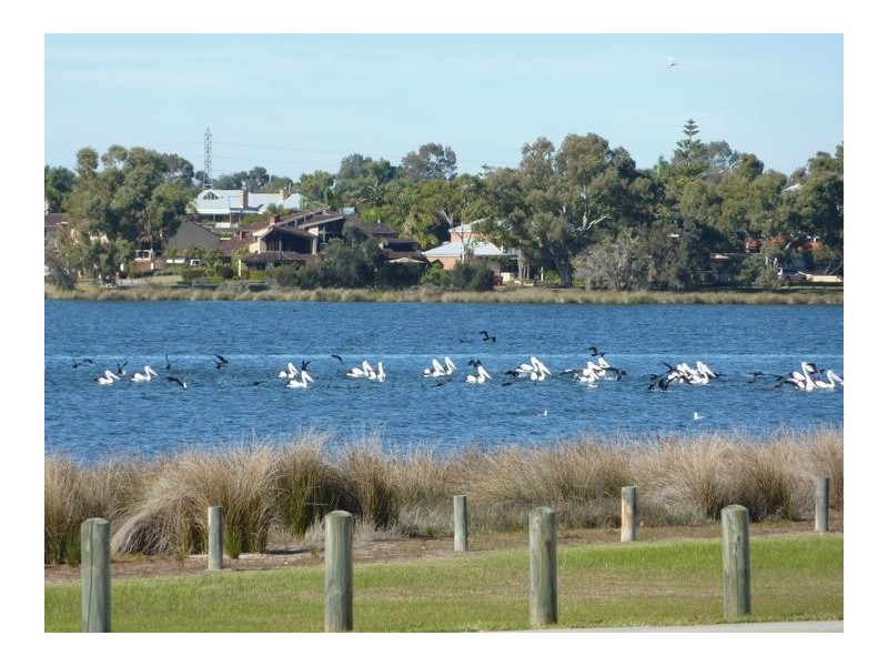 22 Salter Point Pde, Salter Point WA 6152