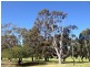 1/73 Coogee Road, Ardross WA 6153