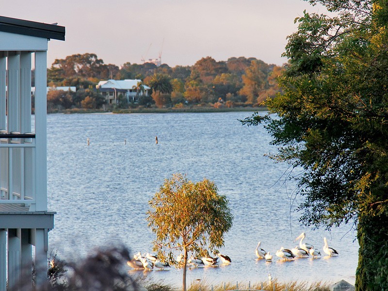 7A Bridget Place, Shelley WA 6148