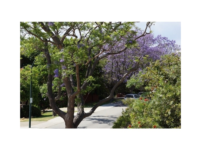 Lot 2 First Avenue, Applecross WA 6153
