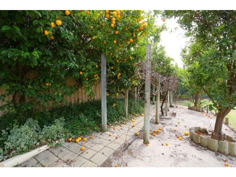 36 Kingsmill Garden, Winthrop WA 6150