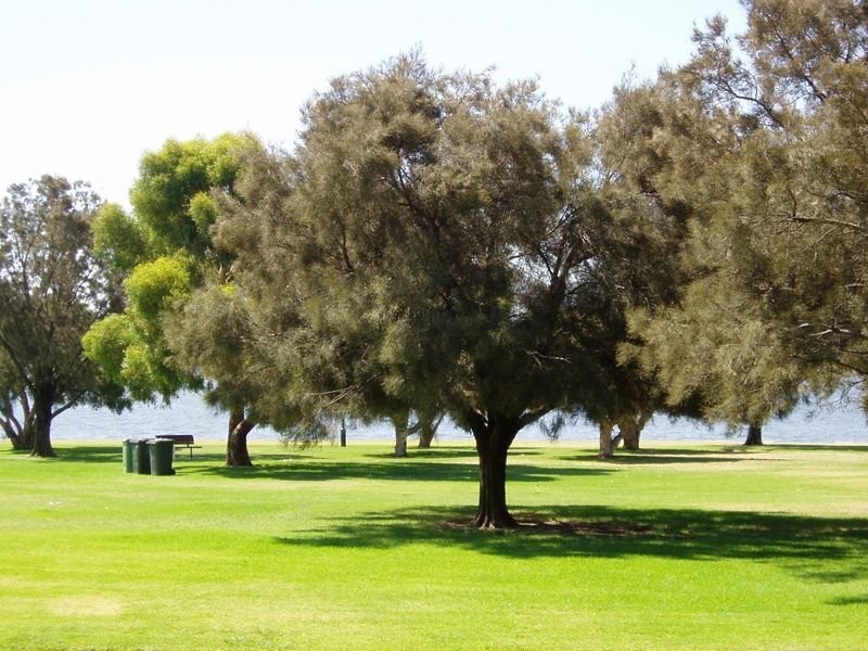 Unit 41/6 Manning Terrace, South Perth WA 6151