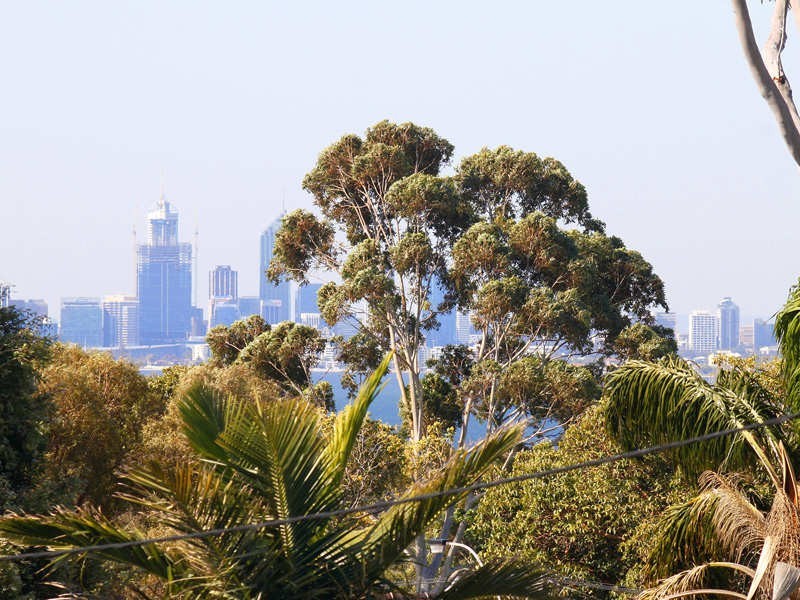 22 Perkins Road, Melville WA 6156