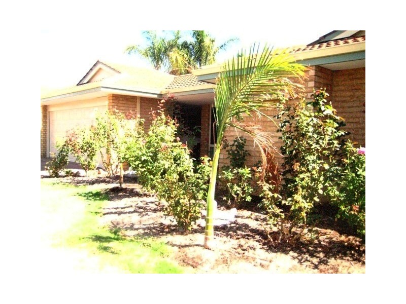 12 Marigold Place, Yangebup WA 6164