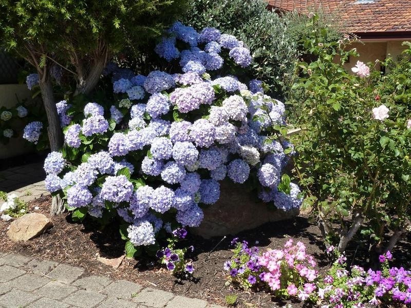 7/5 Kitchener Road, Melville WA 6156