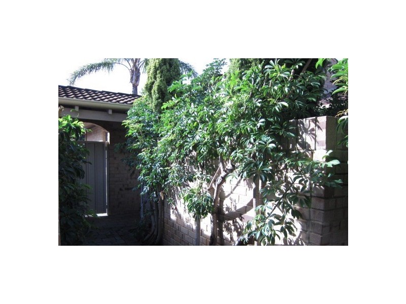 32/9 Brentham Street, Leederville WA 6007