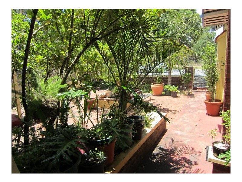 3/185 Thomas Road, Subiaco WA 6008
