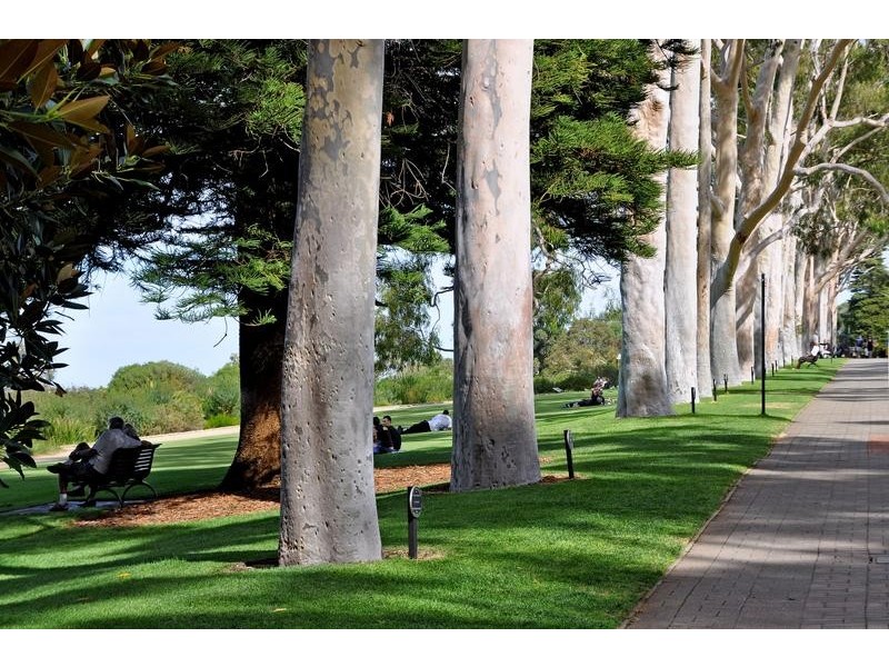 102/18 Rheola Street, West Perth WA 6005