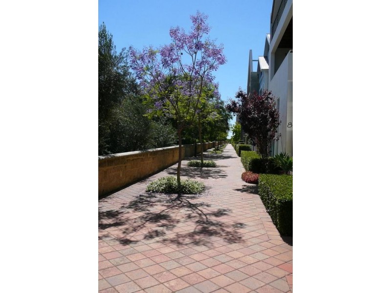 6 Rossello Lane, Subiaco WA 6008