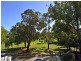 77 Lansdowne Lane, Jolimont WA 6014