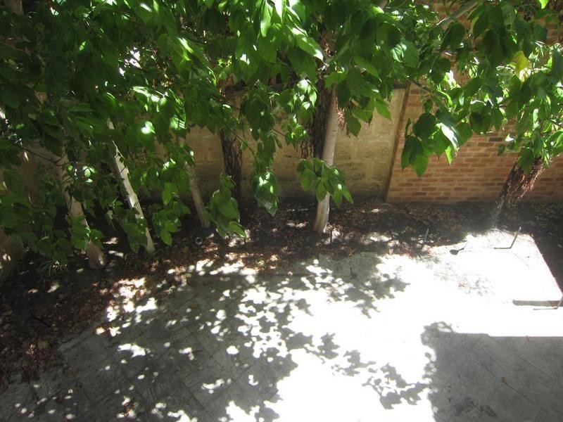 13/431 Bagot Road, Subiaco WA 6008