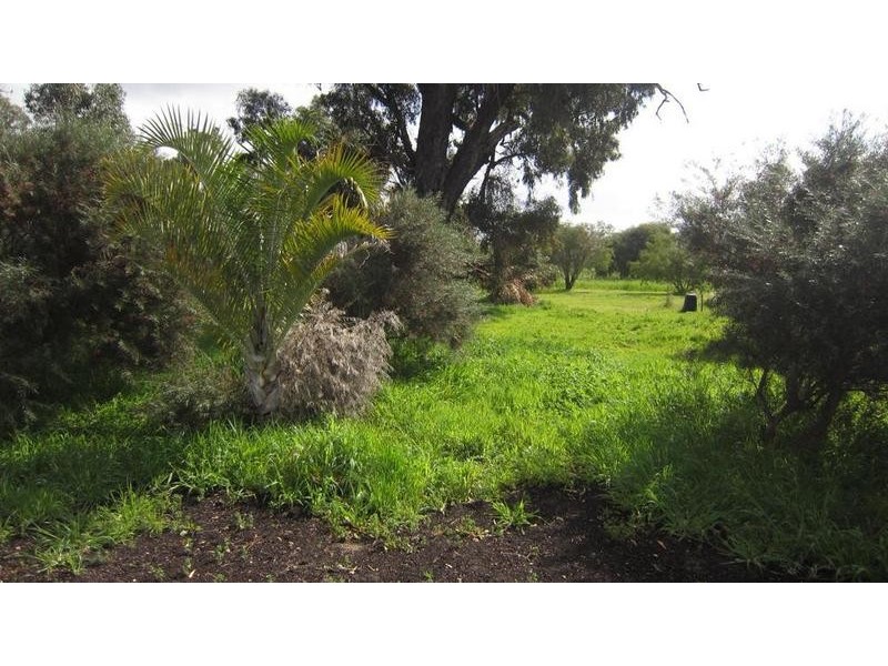 14 Holmes Road, Lake Clifton WA 6215