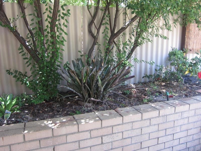 15 Selby Street, Daglish WA 6008