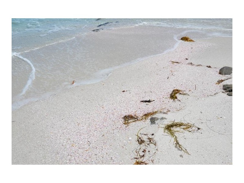 Lot 104 Black Rocks Road, Bremer Bay WA 6338