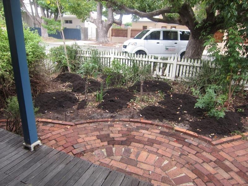 29 Lyall Street, Shenton Park WA 6008