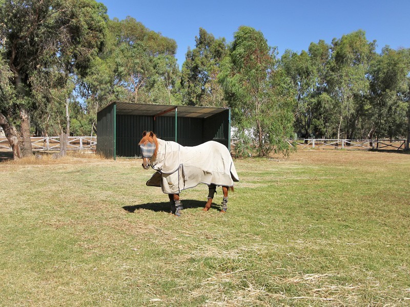 131 Comic Court Circuit, Darling Downs WA 6122
