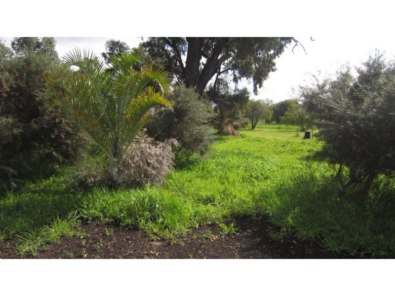 14 Holmes Road, Lake Clifton WA 6215