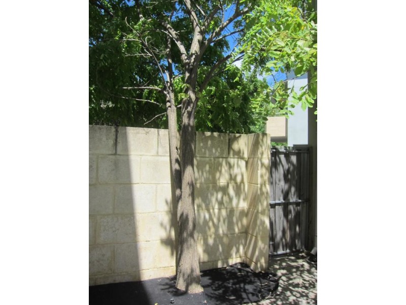 4/7 Keightly Road, Shenton Park WA 6008