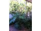 7 White Place, Subiaco WA 6008