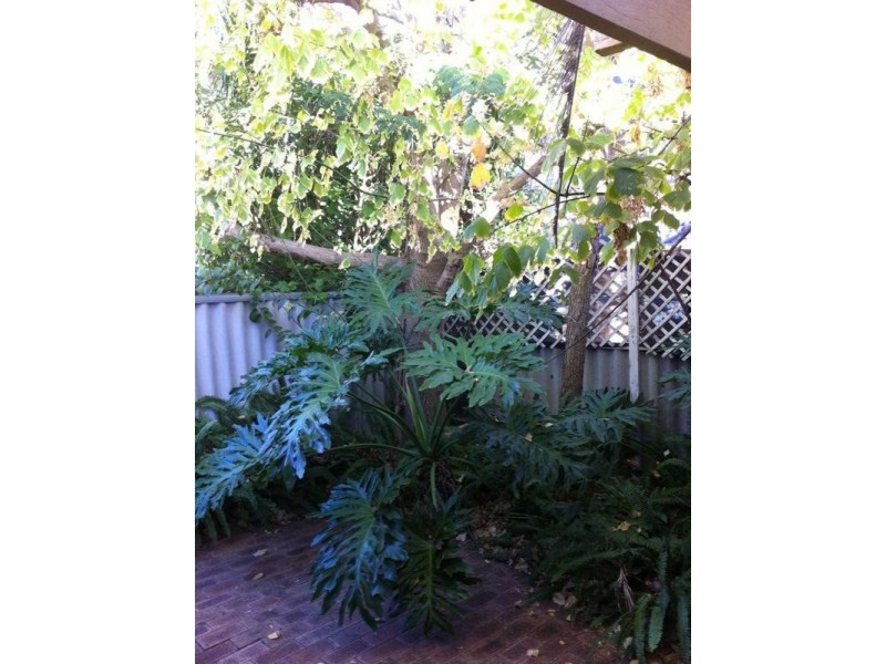 7 White Place, Subiaco WA 6008