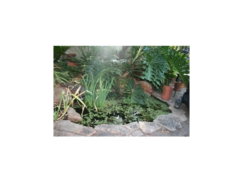 5 Evans Street, Shenton Park WA 6008