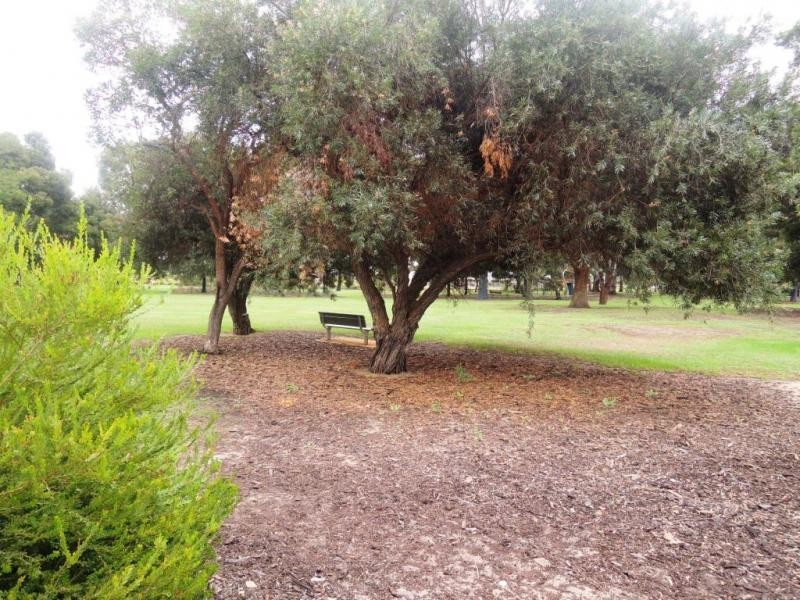 30 Namatjira Place, Leederville WA 6007