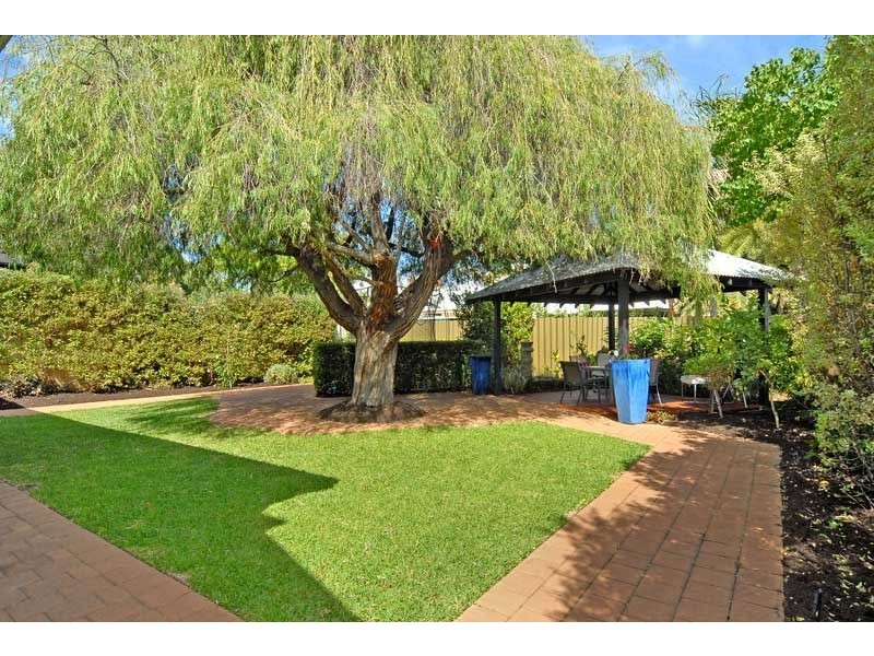 33 Napier Street, Nedlands WA 6009