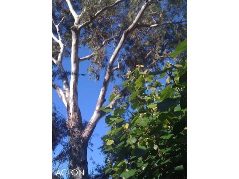 9/17 Victoria Avenue, Claremont WA 6010