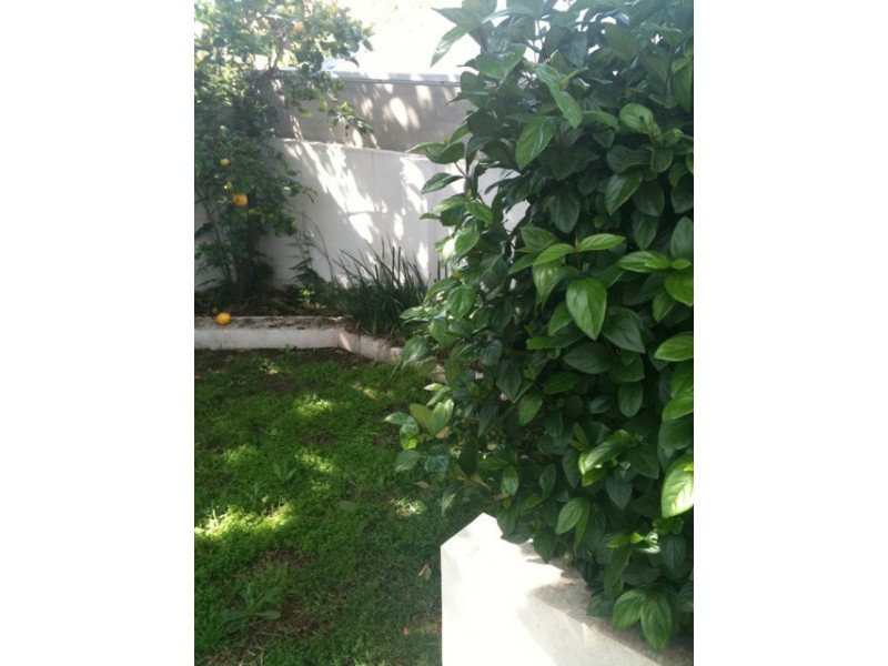 16A Rosser Street, Cottesloe WA 6011